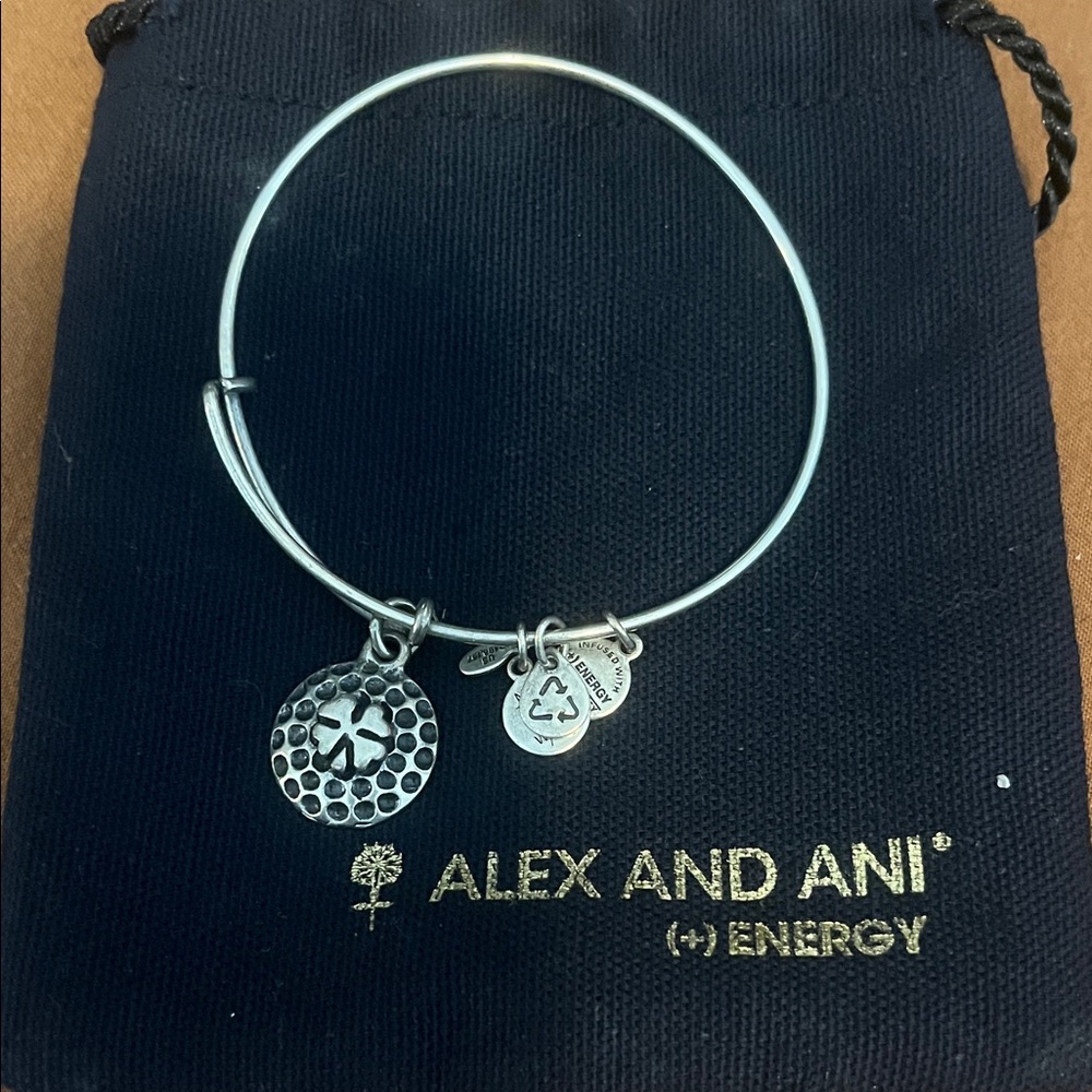 Alex and Ani Silver Bangle with Charms
